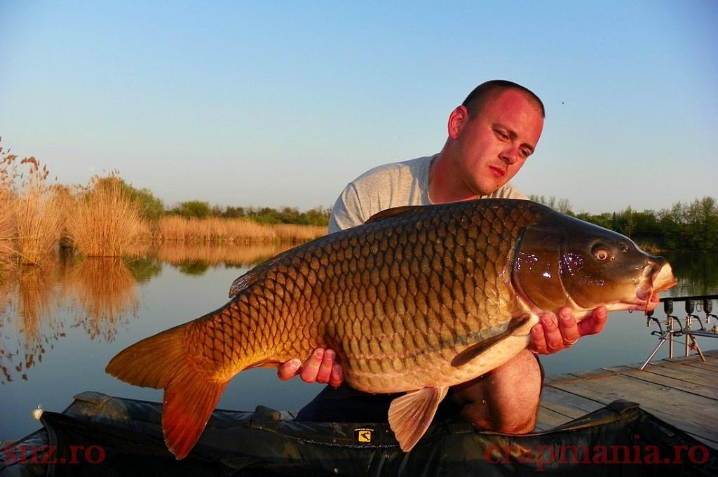 Trofeul tancabesti 2013 - 1012369.jpg